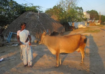 imgi_24_IMG_0951-1024x768